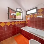Auberge de jeunesse La Tortuga