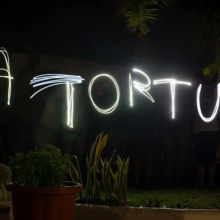 بيت شباب La Tortuga أذيخي