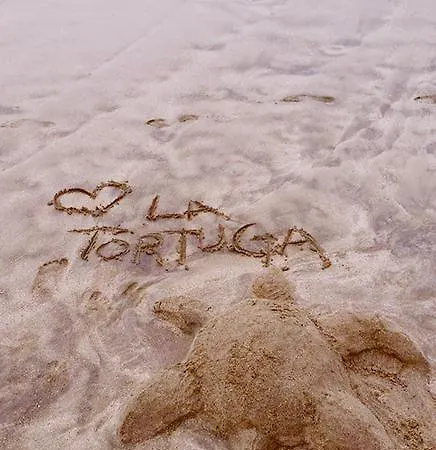 La Tortuga Vandrerhjem Costa Adeje (Tenerife)