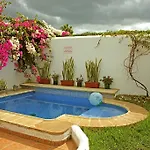 Hostel La Tortuga *