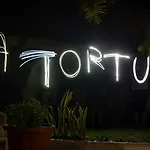 Hostel La Tortuga Costa Adeje (Tenerife)