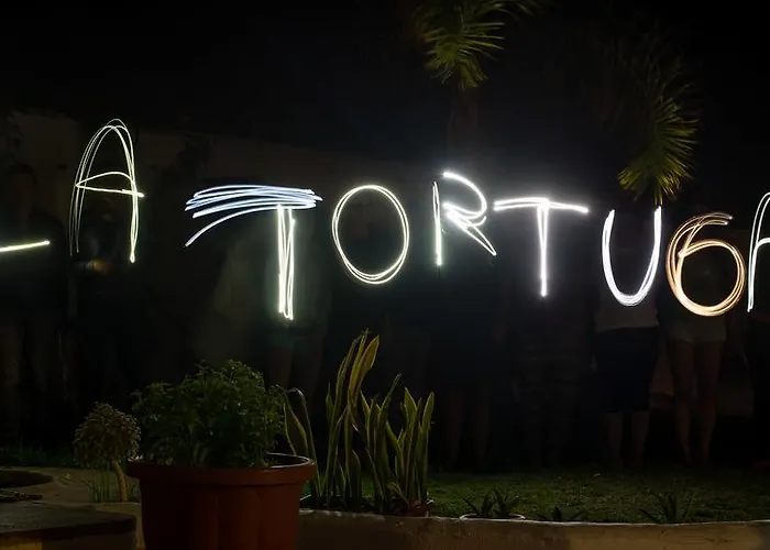 Auberge de jeunesse La Tortuga Costa Adeje (Tenerife)