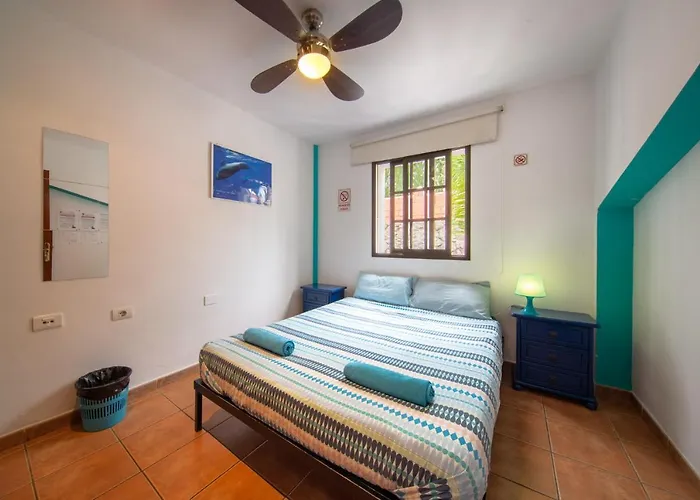 Hostel La Tortuga *